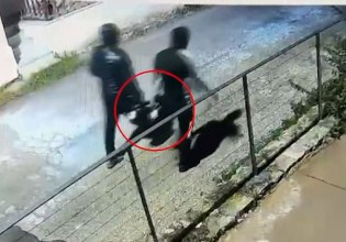 Κρήτη: Τι λένε οι συλληφθέντες για την εμπρηστική επίθεση με εντολή του Ρώσου πρώην δήμαρχου