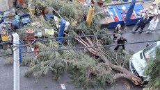 Μεγάλο δέντρο έπεσε σε πάγκους λαϊκής αγοράς στο Φάληρο – Από τύχη δεν υπήρξε τραυματισμός