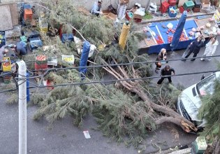 Μεγάλο δέντρο έπεσε σε πάγκους λαϊκής αγοράς στο Φάληρο – Από τύχη δεν υπήρξε τραυματισμός
