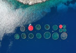 Europe Wants More Fish Farms. Is Greece Ready?