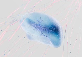 Καταστροφολογία ή προφητεία; Γιατί οι ειδικοί μας προειδοποιούν για την AI