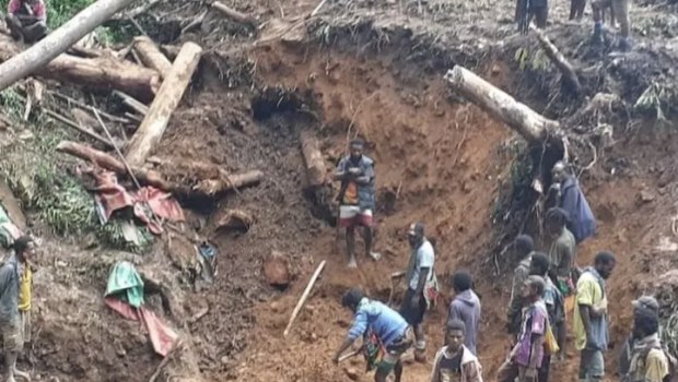 Γουινέα χρυσωρυχείου