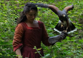 Από το Hamnet στο H is for Hawk: Γυναίκες, γεράκια και η αθόρυβη ανατροπή των έμφυλων στερεοτύπων