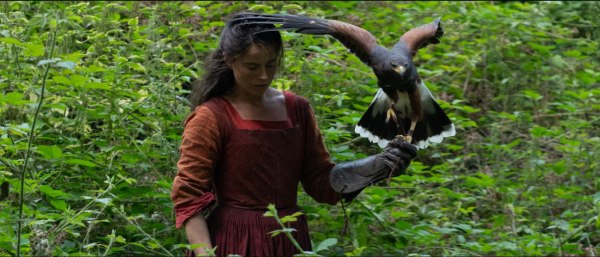 Από το Hamnet στο H is for Hawk: Γυναίκες, γεράκια και η αθόρυβη ανατροπή των έμφυλων στερεοτύπων