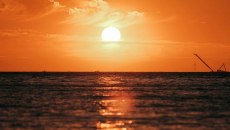 Κλιματική αλλαγή: Ο Ιανουάριος του 2026 ο πέμπτος θερμότερος που καταγράφηκε ποτέ