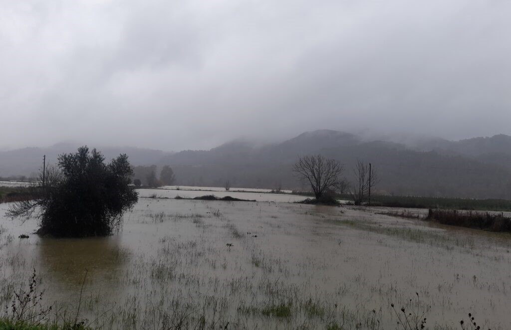 εικόνα που δείχνει καλλιέργειες να έχουν καλυφθεί από μεγάλο όγκο υδάτων που έπεσε στην Ανδρίτσαινα