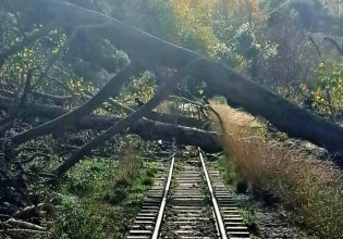 Hellenic Train: Ακυρώνονται δρομολόγια του Οδοντωτού λόγω πτώσης δέντρων