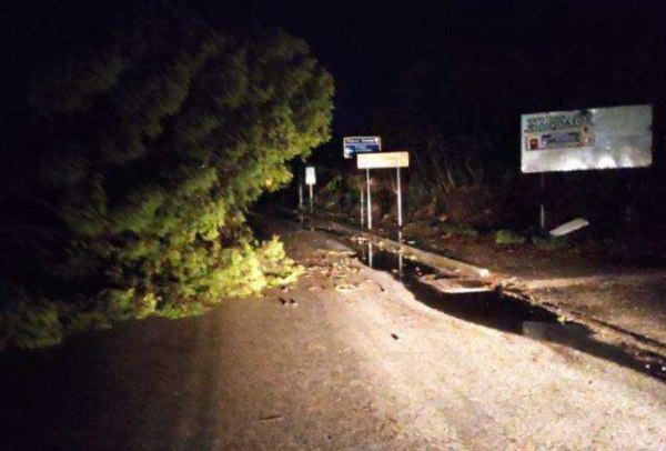 Κέρκυρα: Σαρωτικό πέρασμα της κακοκαιρίας – Πτώσεις δέντρων και εκτεταμένες διακοπές ρεύματος