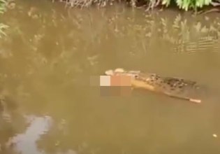 Φρικτός θάνατος στην Ινδονησία – Κροκόδειλος κατασπάραξε γυναίκα ενώ έψαχνε για μύδια