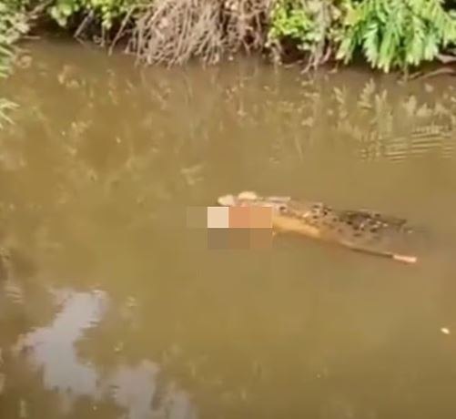 Φρικτός θάνατος στην Ινδονησία – Κροκόδειλος κατασπάραξε γυναίκα ενώ έψαχνε για μύδια