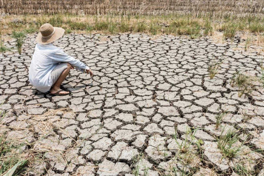 Copernicus: Παρά τις βροχοπτώσεις παραμένει η ξηρασία στην Κρήτη