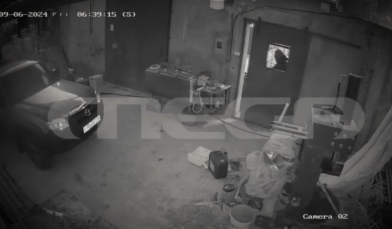 Νέα ντοκουμέντα από την επίθεση στον κτηνοτρόφο που του έκοψαν τη γλώσσα – «Με άφησαν πεθαμένο»