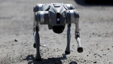 Τετράποδα ρομπότ-σκύλοι στην υπηρεσία των Αρχών ενόψει Μουντιάλ (pics)