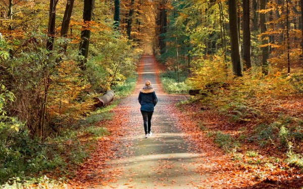 Περπάτημα: Πως μας επηρεάζουν 30 λεπτά την ημέρα;