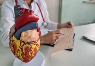 Πώς ο εγκέφαλος επιδεινώνει τις βλάβες μετά το έμφραγμα – Ελπίδα για νέες θεραπείες