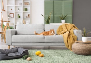 Ζεις με κατοικίδια; Αυτές οι συσκευές θα σου «λύσουν» τα χέρια