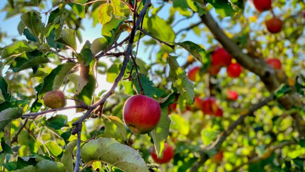 timotheus-frobel-GeuqLqpgZ6k-unsplash-62