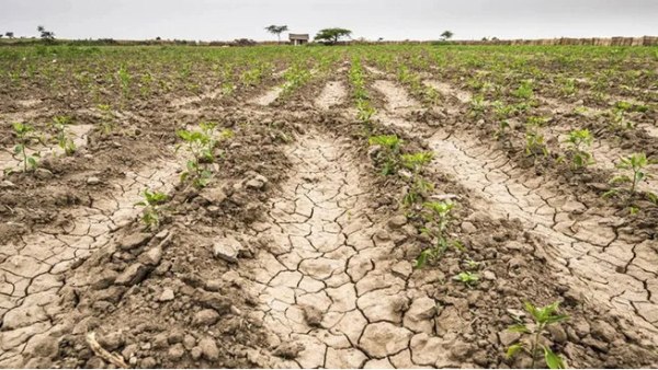 Η Ουρουγουάη κηρύσσει κατάσταση έκτακτης ανάγκης λόγω λειψυδρίας