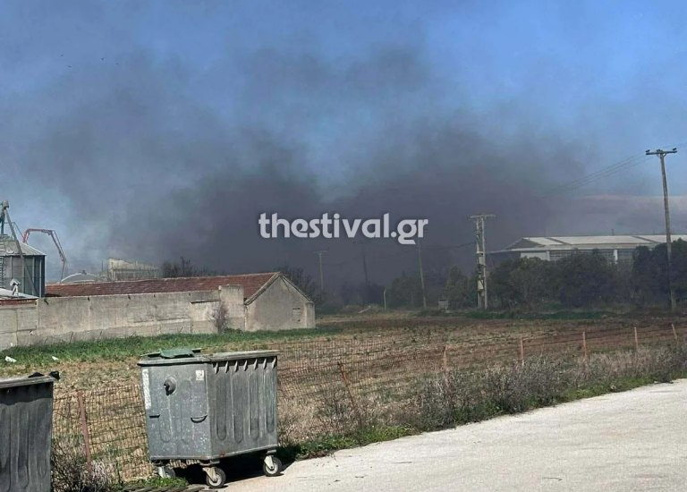 Θεσσαλονίκη: Τραυματίστηκε πυροσβέστης κατά τη διάρκεια κατάσβεσης φωτιάς σε βιοτεχνία