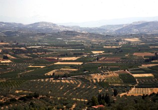 Κτηματολόγιο: Προσωρινό stop στις αγωγές Δημοσίου για ανακριβείς εγγραφές