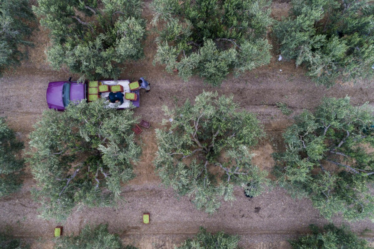 Νέα Αριστερά: Η ερημοποίηση της υπαίθρου αποκαλύπτει την πλήρη αποτυχία της κυβερνητικής πολιτικής