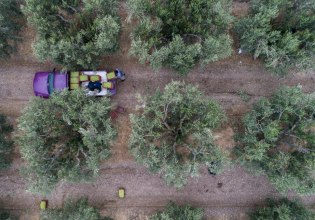 Νέα Αριστερά: Η ερημοποίηση της υπαίθρου αποκαλύπτει την πλήρη αποτυχία της κυβερνητικής πολιτικής