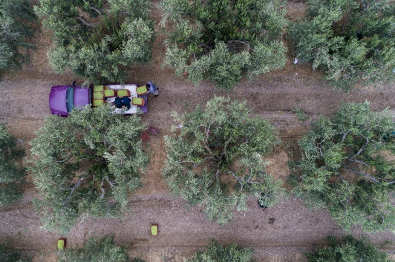 Νέα Αριστερά: Η ερημοποίηση της υπαίθρου αποκαλύπτει την πλήρη αποτυχία της κυβερνητικής πολιτικής