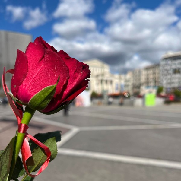 Ο Δήμος Πειραιά τιμά  την Παγκόσμια Ημέρα της Γυναίκας