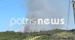 Πύργος: Φωτιά σε δασική έκταση στην περιοχή Βυτιναίικα