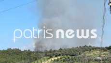 Πύργος: Φωτιά σε δασική έκταση στην περιοχή Βυτιναίικα