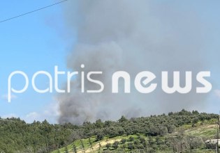 Πύργος: Φωτιά σε δασική έκταση στην περιοχή Βυτιναίικα