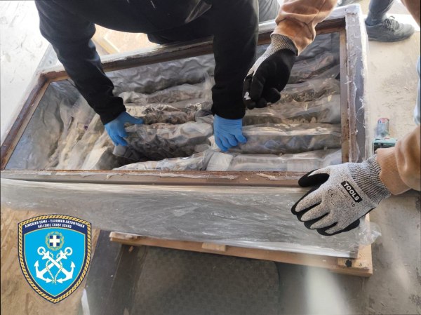 Κατάσχεση 219 κιλών κάνναβης skunk από το Λιμεναρχείο Πειραιά – Τρεις συλλήψεις