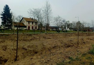 Ξαναπρασινίζει το παραλίμνιο μέτωπο της Δοϊράνης