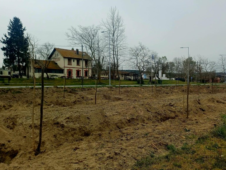 Ξαναπρασινίζει το παραλίμνιο μέτωπο της Δοϊράνης