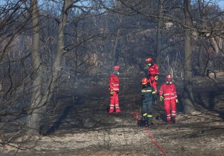 ΚΚΕ: Η φετινή Παγκόσμια Ημέρα Δασών βρίσκει τη χώρα με 480.000 στρέμματα καμένων δασικών εκτάσεων μόνο το 2025