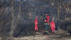 Νωρίς νωρίς άρχισαν φέτος οι φωτιές