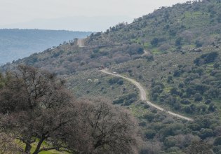 ΠΑΣΟΚ: Απέτυχε το υπουργείο Αγροτικής Ανάπτυξης – Η κυβέρνηση αφήνει απροστάτευτη την ελληνική κτηνοτροφία