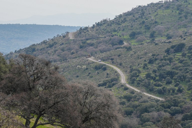 ΠΑΣΟΚ: Απέτυχε το υπουργείο Αγροτικής Ανάπτυξης – Η κυβέρνηση αφήνει απροστάτευτη την ελληνική κτηνοτροφία