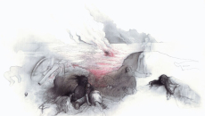 «Πού πήγαν όλα τα λουλούδια;» – Μια έκθεση που στέλνει μήνυμα για τους πολέμους