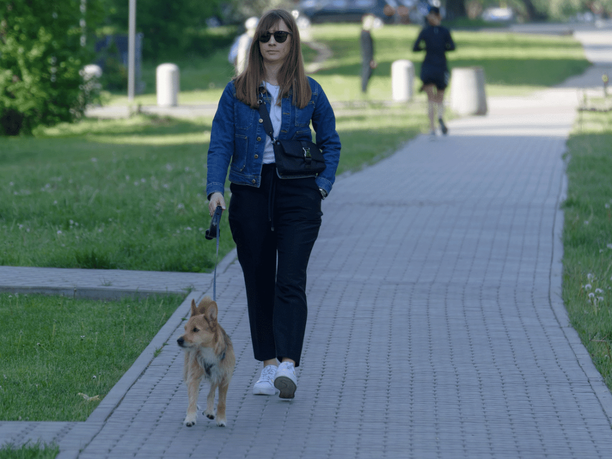 Σκύλος: Πόσο ασφαλή είναι τα λουριά που αυξομειώνεται το μήκος τους;