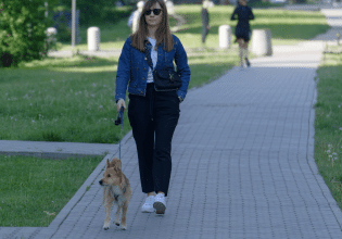 Σκύλος: Πόσο ασφαλή είναι τα λουριά που αυξομειώνεται το μήκος τους;