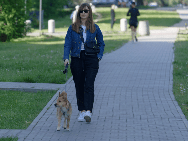 Σκύλος: Πόσο ασφαλή είναι τα λουριά που αυξομειώνεται το μήκος τους;