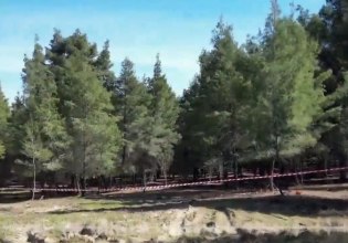 Χαλκιδική: «Η γυναίκα της κόκκινης βαλίτσας μπορεί να είναι η κόρη μου» – Τι λέει πατέρας αγνοούμενης