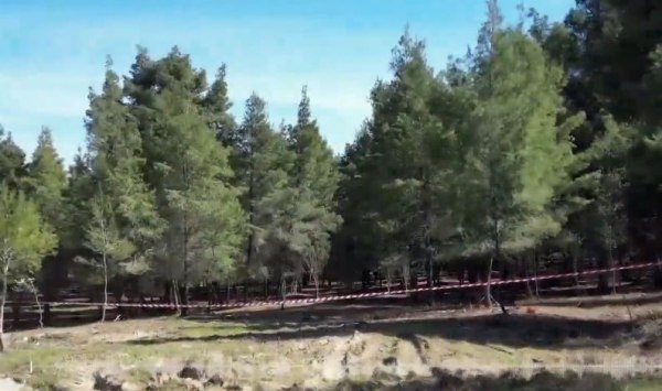 Χαλκιδική: «Η γυναίκα της κόκκινης βαλίτσας μπορεί να είναι η κόρη μου» – Τι λέει πατέρας αγνοούμενης