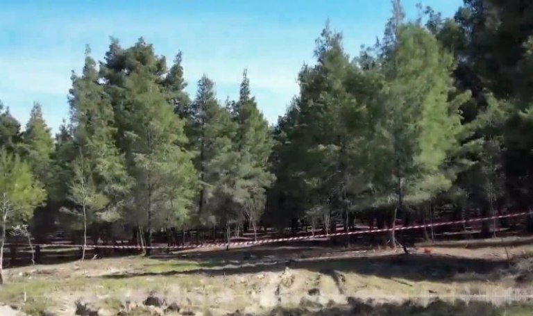 Χαλκιδική: «Η γυναίκα της κόκκινης βαλίτσας μπορεί να είναι η κόρη μου» – Τι λέει πατέρας αγνοούμενης