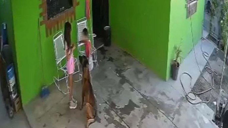 Μεξικό: Άγρια επίθεση σκύλου σε 7χρονη – Έκανε 68 ράμματα στο κεφάλι