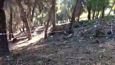 Χαλκιδική: Θρίλερ με τη σορό σε βαλίτσα – «Φορούσε βέρα – Είχε χαρτιά στο στόμα»