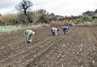 Απότομη άνοδος των τιμών στα λιπάσματα – Κίνδυνος για ελλείψεις στα τρόφιμα αν συνεχιστεί ο πόλεμος στο Ιράν