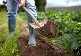 Λιπάσματα: Πώς ο πόλεμος πιέζει την αγροτική παραγωγή και επηρεάζει την αγορά