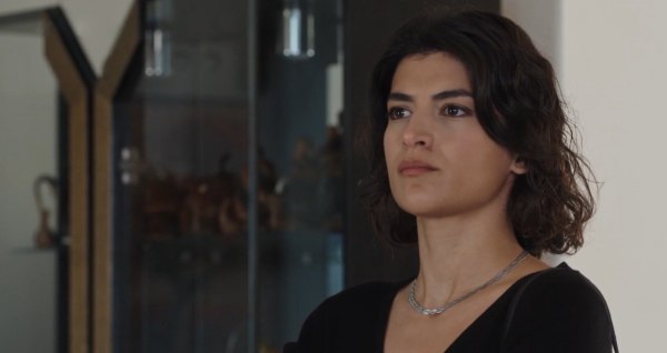 H Γη της Ελιάς: Οι αποκαλύψεις φέρνουν νέα αναστάτωση στην Κρήτη